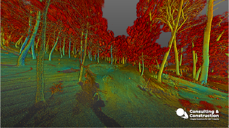 Una escena de bosque renderizada digitalmente e inspirada en Los Cazos Mazamitla muestra árboles con copas rojas y amarillas y un suelo azul verdoso, creando un paisaje vibrante y surrealista. El logotipo de Consulting & Construction aparece en la esquina inferior derecha.