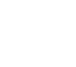 Project Management Blanco_Mesa de trabajo 1